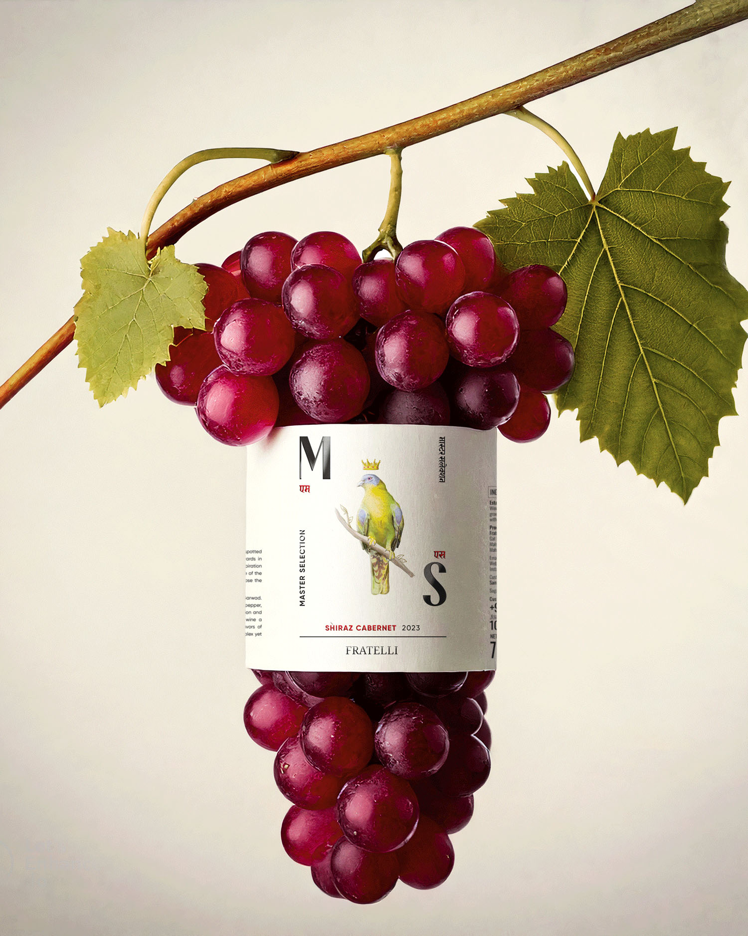 MS Fratelli Shiraz Cabernet bottle with grapes